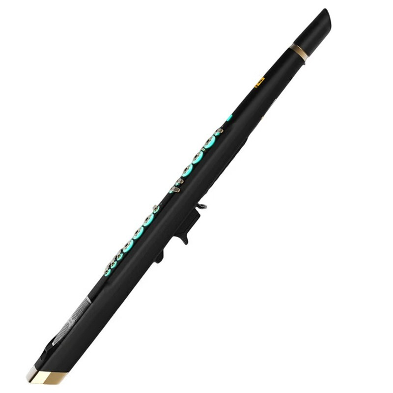 Musical Instrument That You Blow Into - C20 true sampling huishoudelijke high-end intelligente