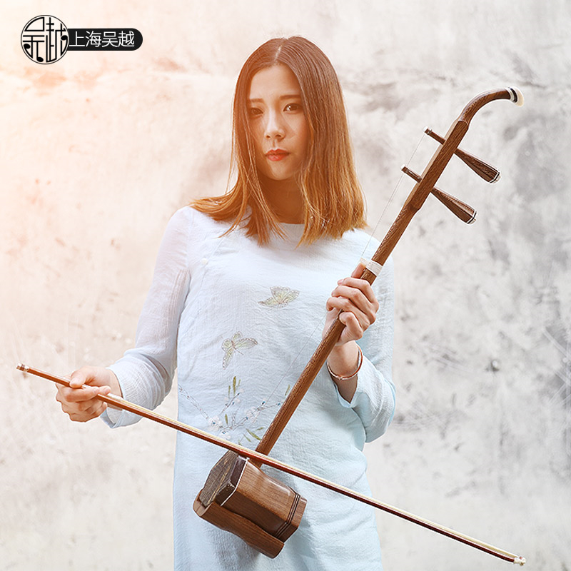 Chinees volkskoordinstrument,  - Musical Instrument Book recensie en prijs