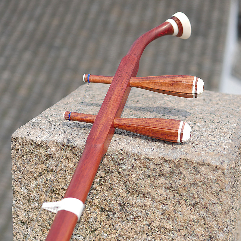 Professionele Dunhuang Merk 06 - Musical Instrument Brands recensie en prijs