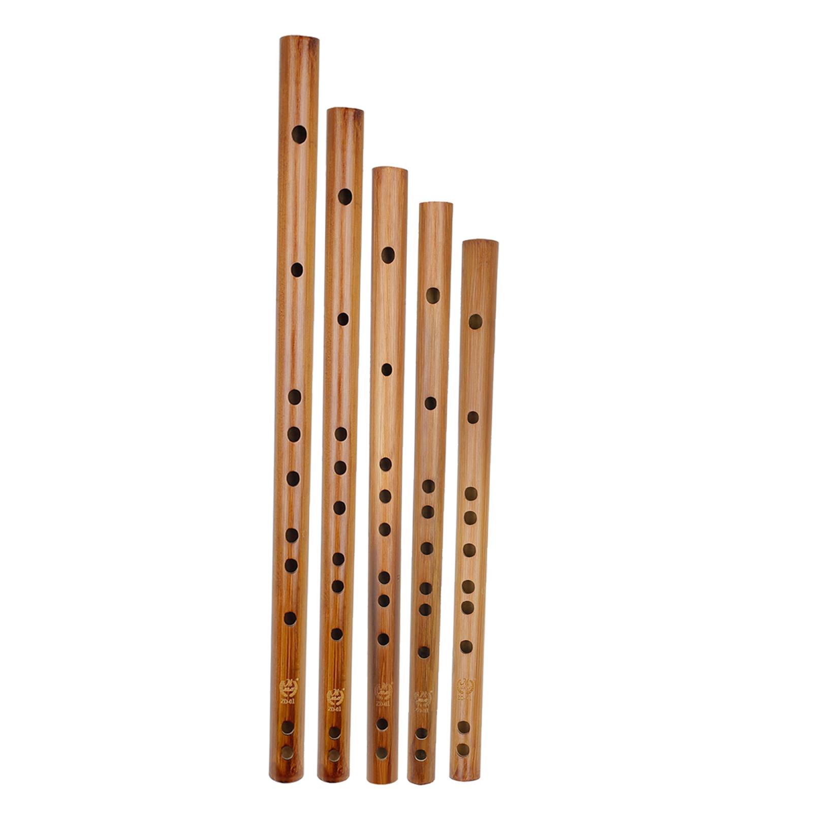 Unieke Verjaardagscadeau, Indi - Musical Instrument From India recensie en prijs