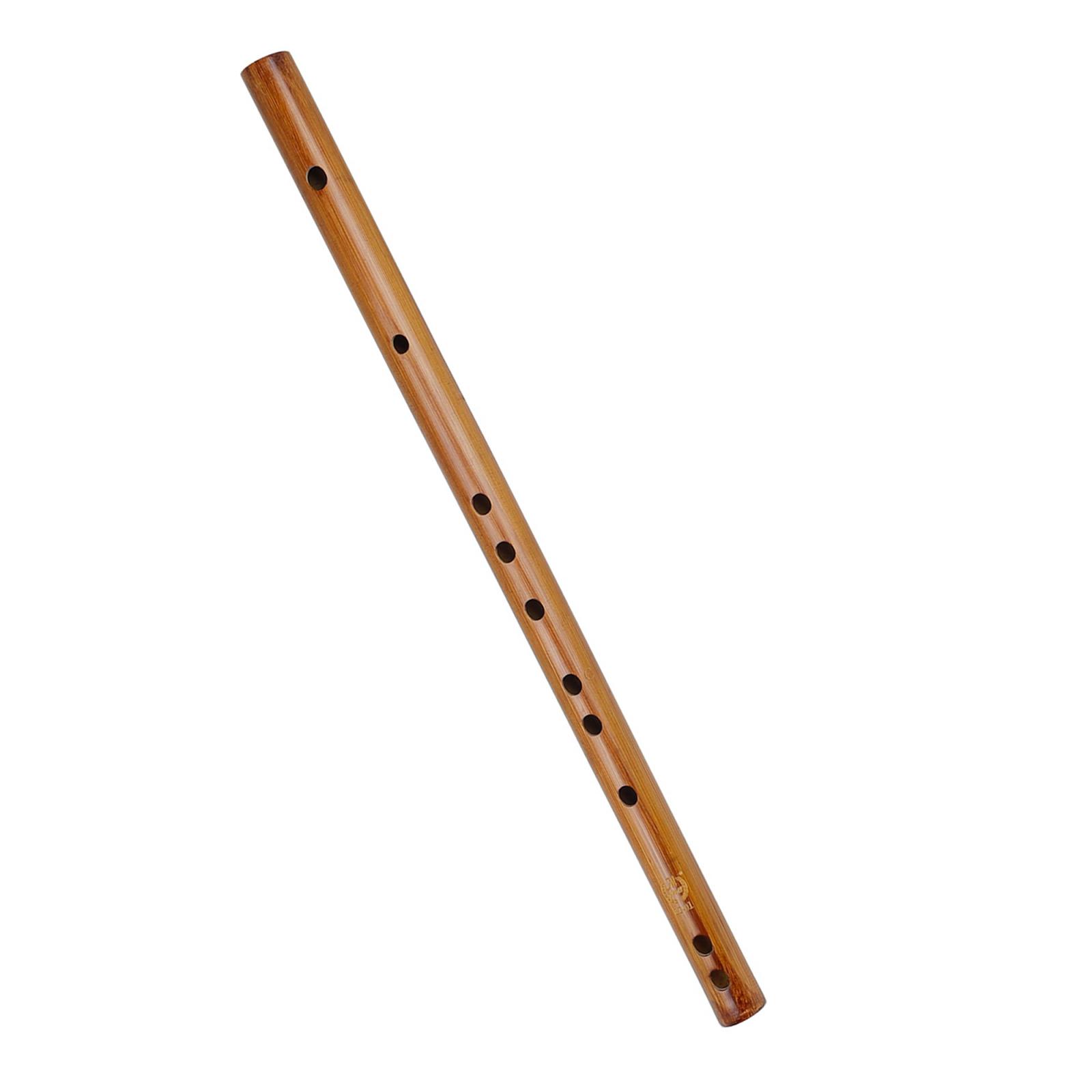Unieke Verjaardagscadeau, Indi - Musical Instrument From India recensie en prijs