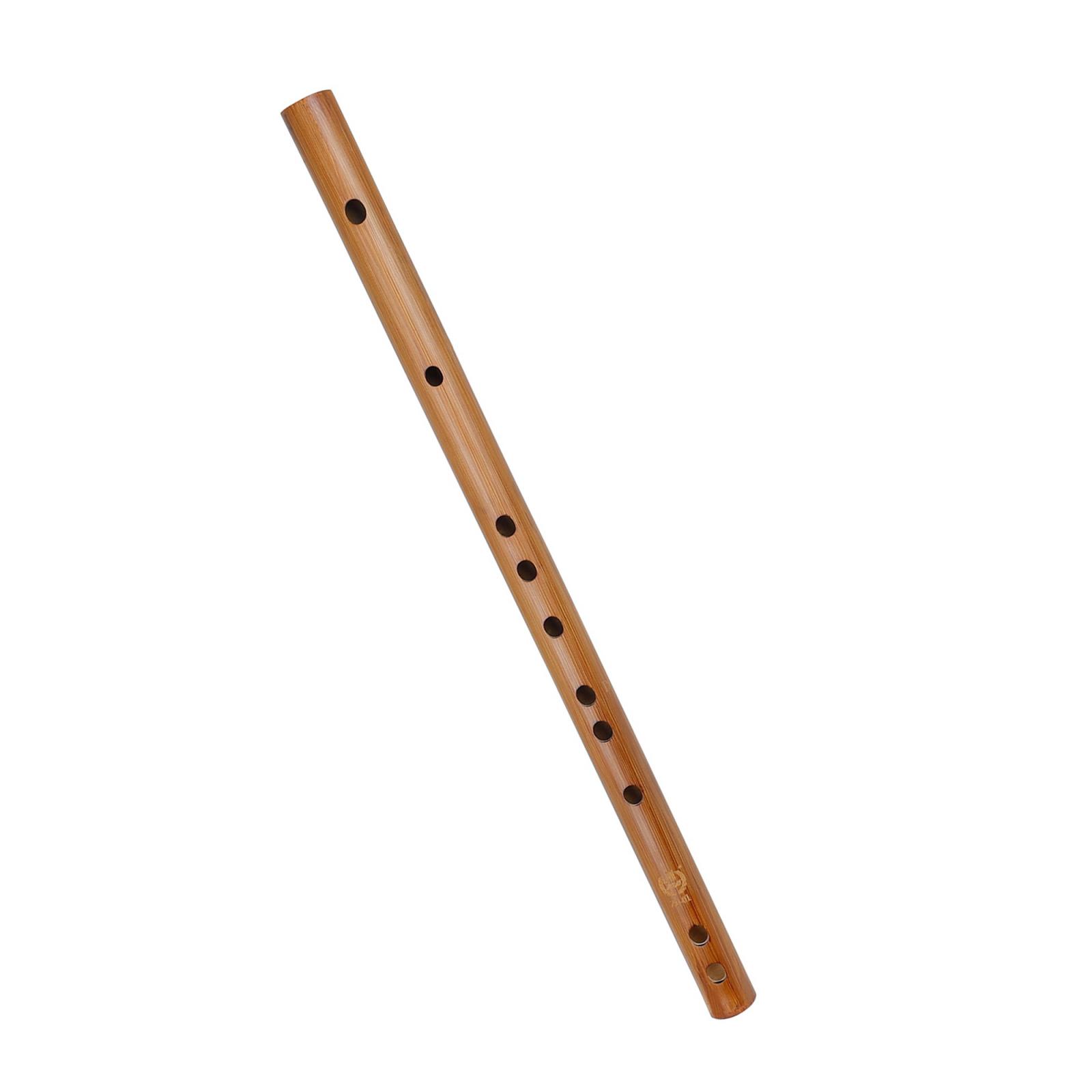 Unieke Verjaardagscadeau, Indi - Musical Instrument From India recensie en prijs