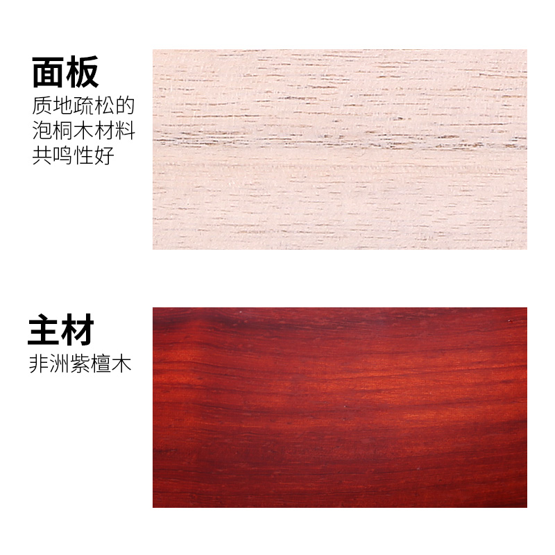 Dunhuang Merk Zhongruan 666ZY  - Musical Instrument Brands recensie en prijs