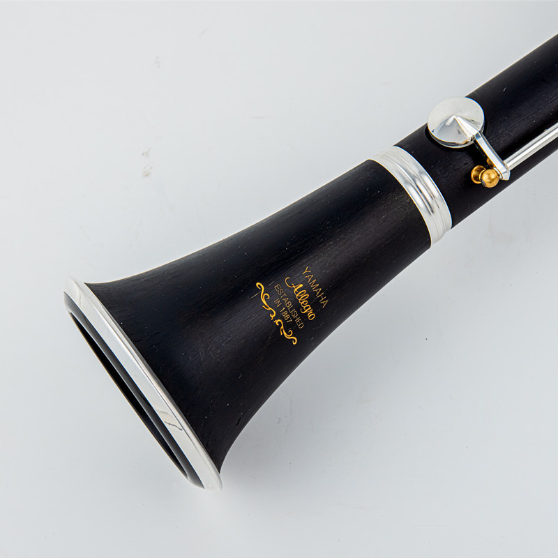 Japan Gloednieuwe Professionel - Musical Instrument Brands recensie en prijs