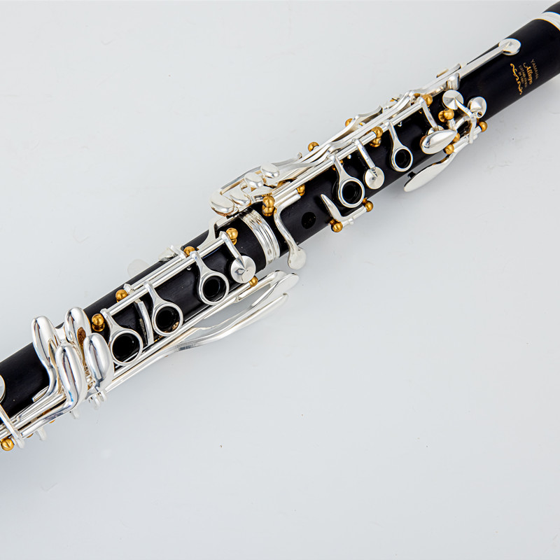 Japan Gloednieuwe Professionel - Musical Instrument Brands recensie en prijs
